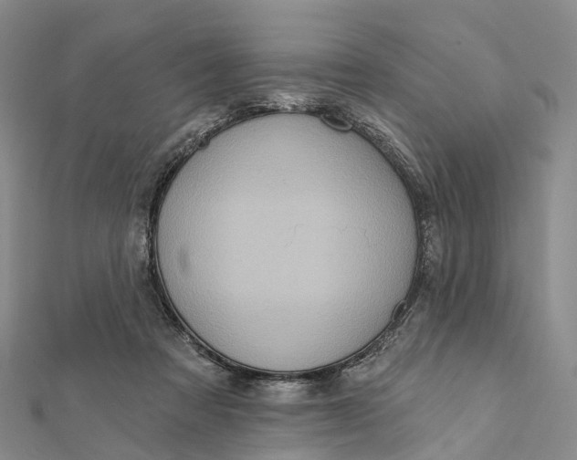 X0000112100313200908251155