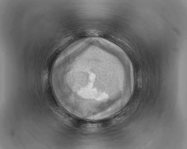 X0000112100314200908251155