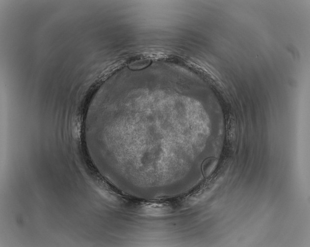 X0000112100315200908251155