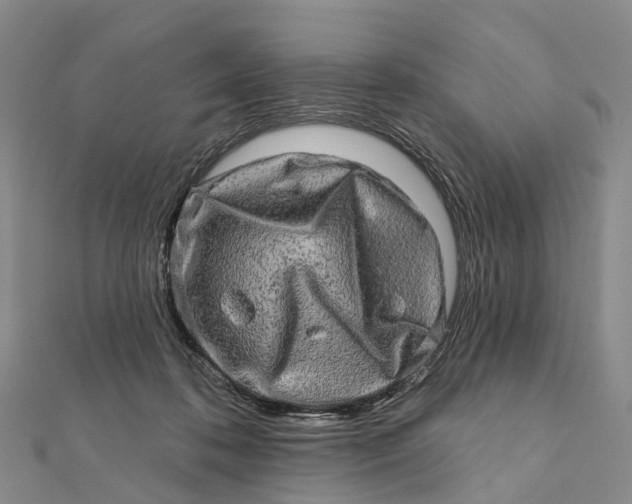 X0000112100316200908251155