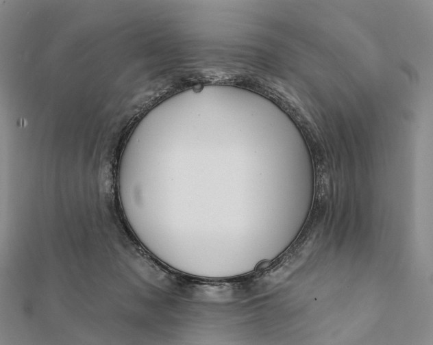 X0000112100317200908251155