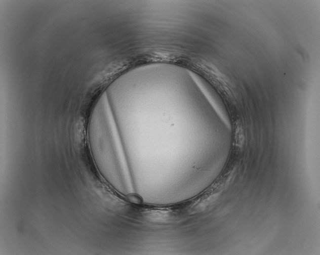 X0000112100318200908251155