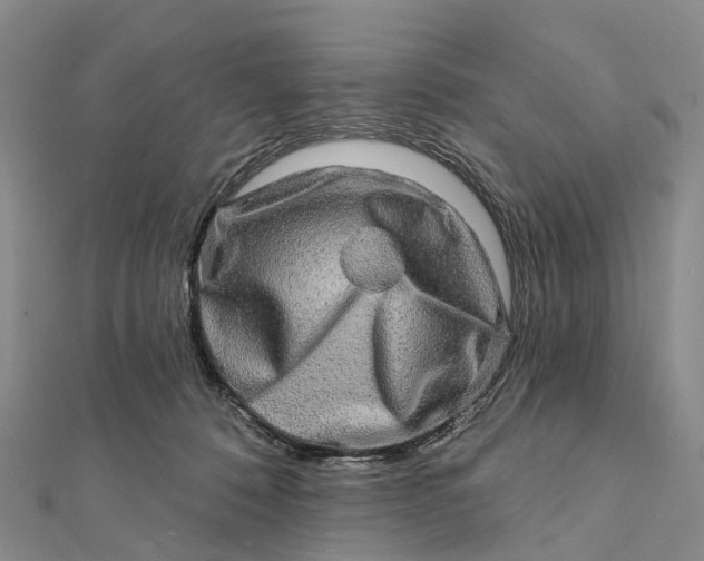 X0000112100320200908251155