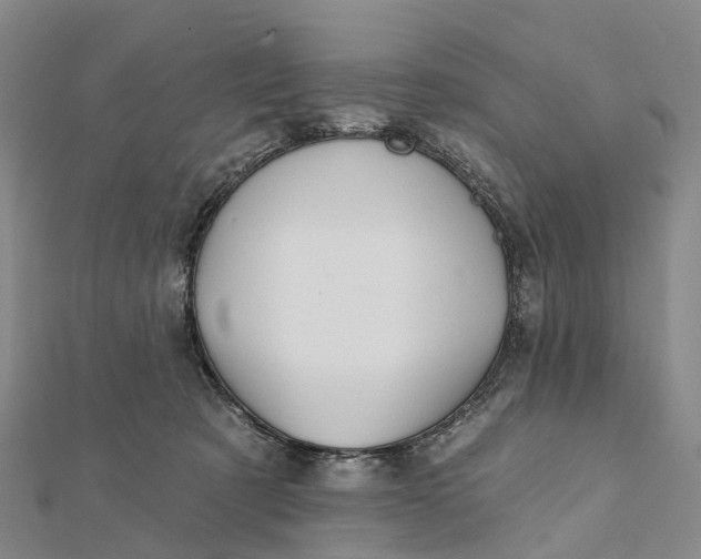 X0000112100321200908251155