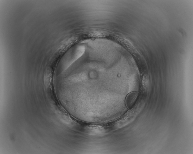 X0000112100322200908251155