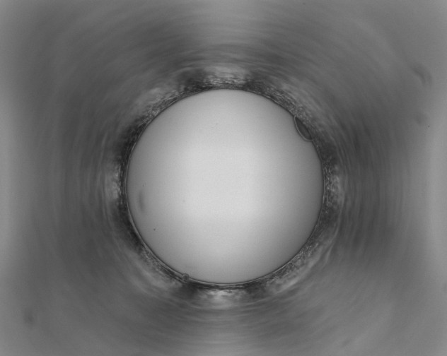 X0000112100323200908251155