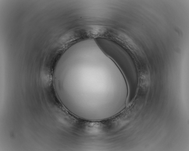 X0000112100324200908251155