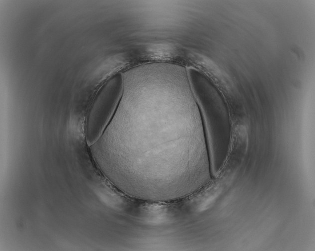 X0000112100325200908251155