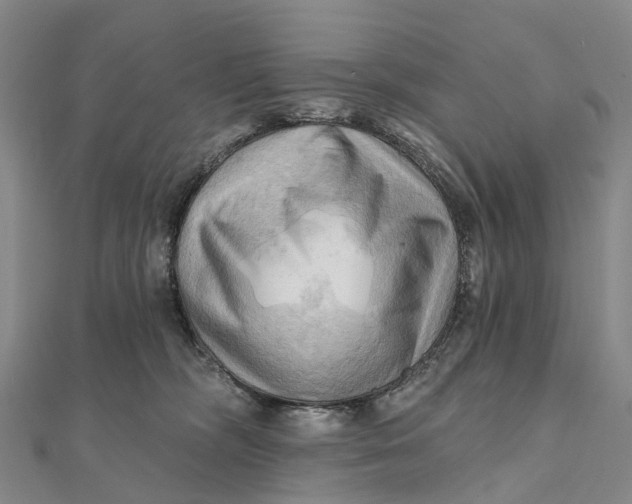 X0000112100326200908251155