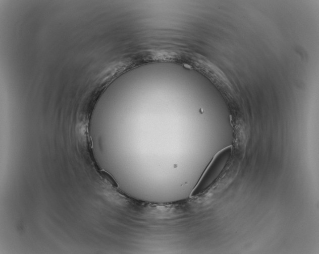 X0000112100329200908251155