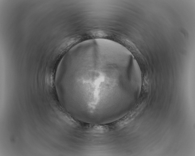 X0000112100330200908251155