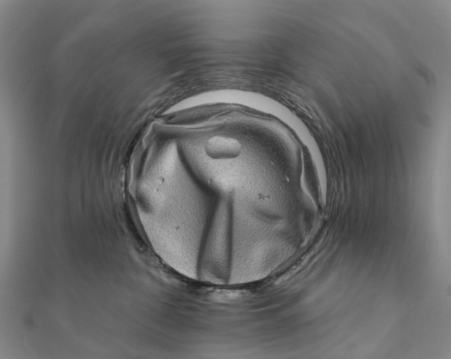 X0000112100332200908251155