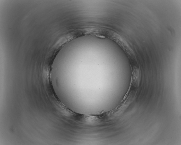 X0000112100333200908251155