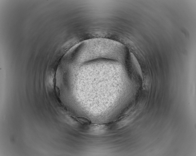 X0000112100334200908251155