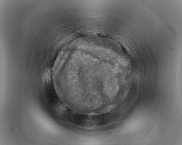 X0000112100335200908251155