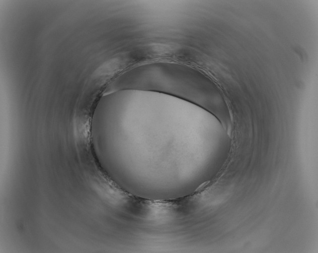 X0000112100336200908251155