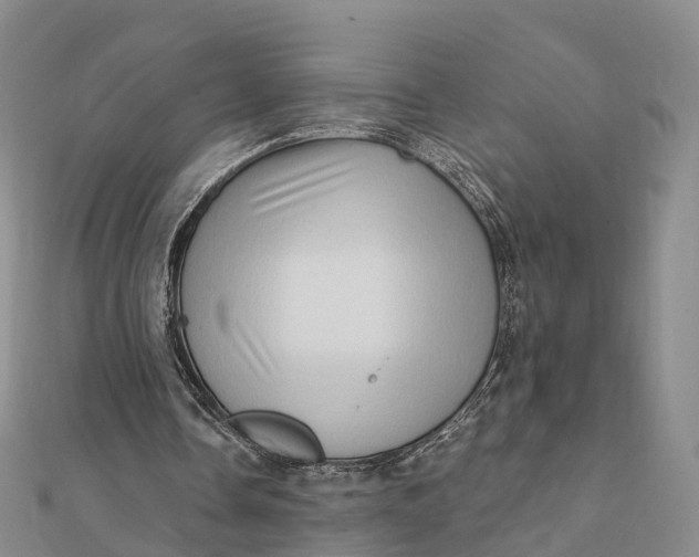 X0000112100338200908251154