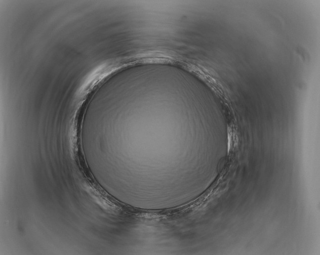 X0000112100339200908251154