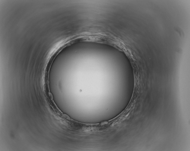 X0000112100340200908251154