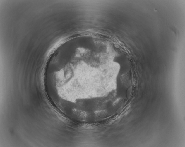 X0000112100341200908251154