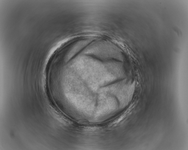 X0000112100342200908251154