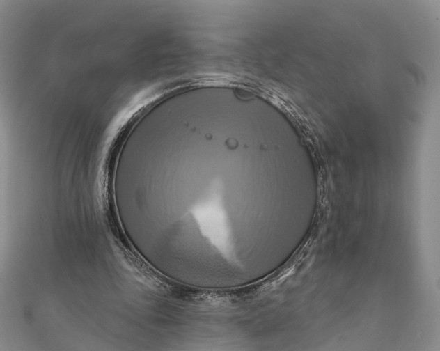 X0000112100343200908251154