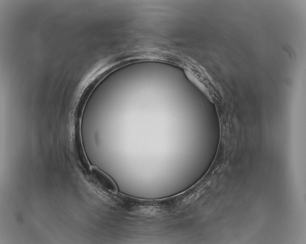 X0000112100344200908251154