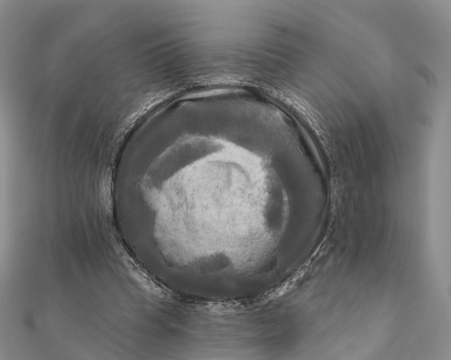 X0000112100345200908251154