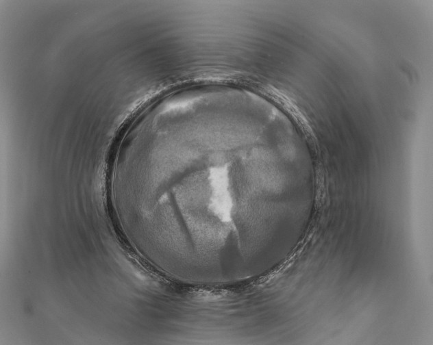 X0000112100346200908251154