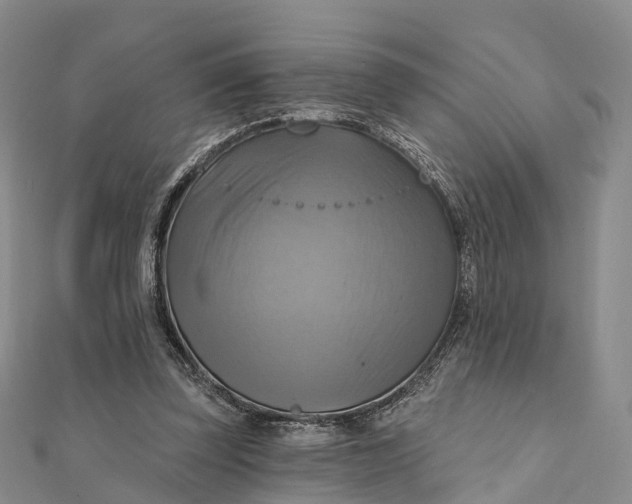 X0000112100347200908251154