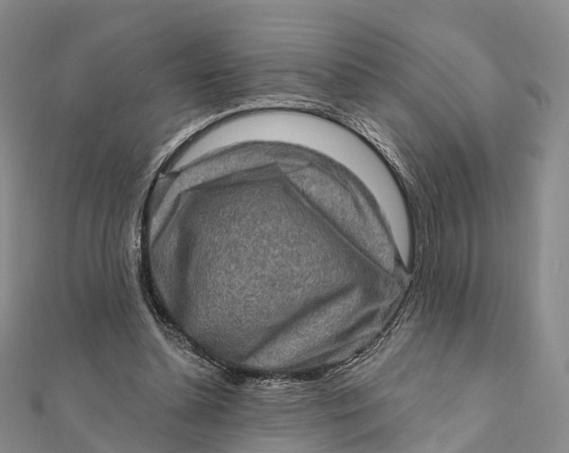 X0000112100348200908251154