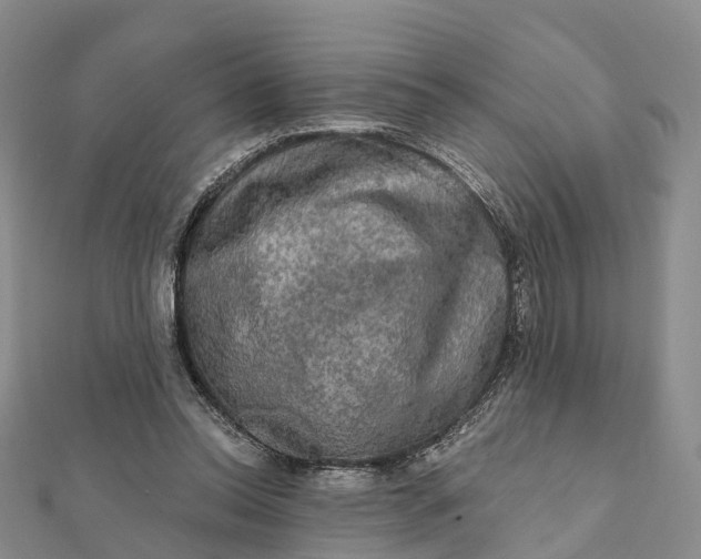 X0000112100350200908251154