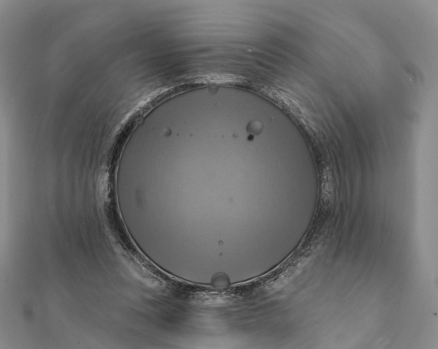 X0000112100351200908251154