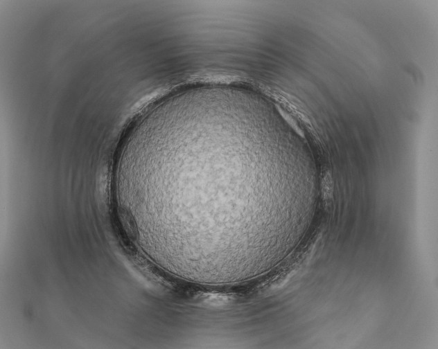 X0000112100352200908251154