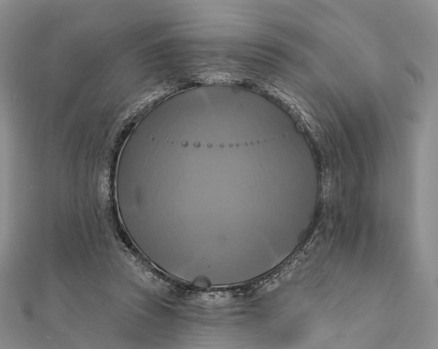 X0000112100353200908251154