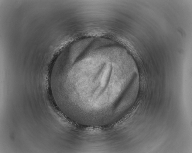 X0000112100354200908251154