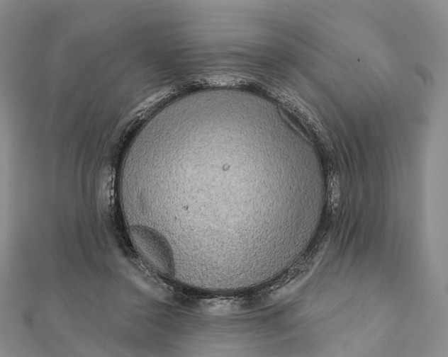 X0000112100356200908251154