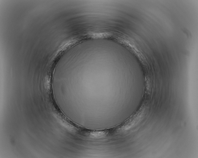 X0000112100357200908251154