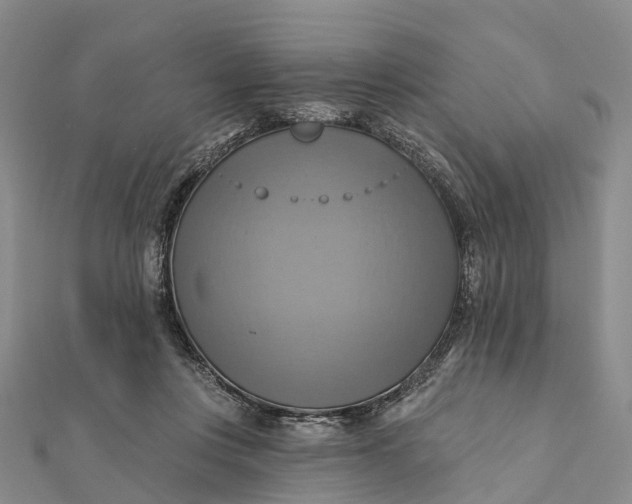 X0000112100359200908251154