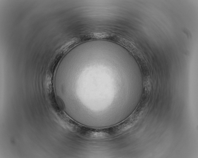 X0000112100360200908251154