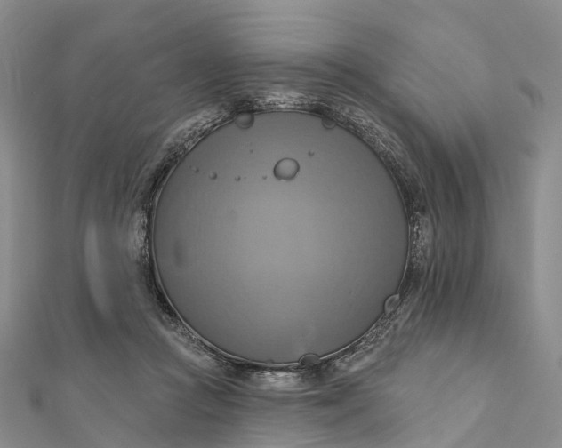 X0000112100361200908251154