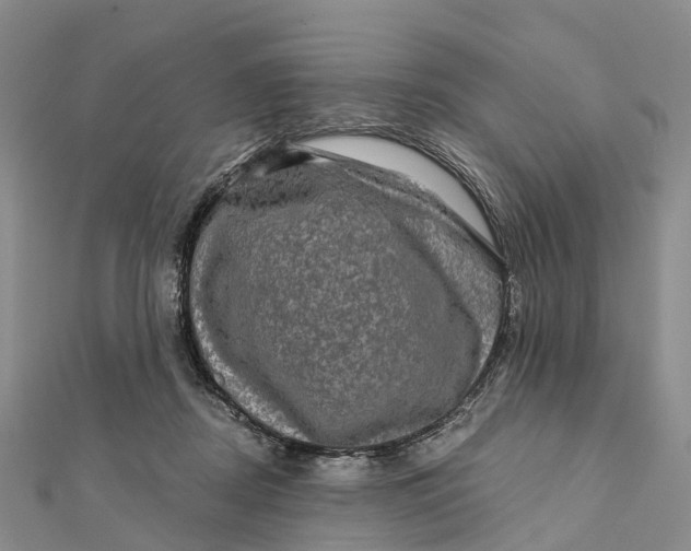 X0000112100362200908251154