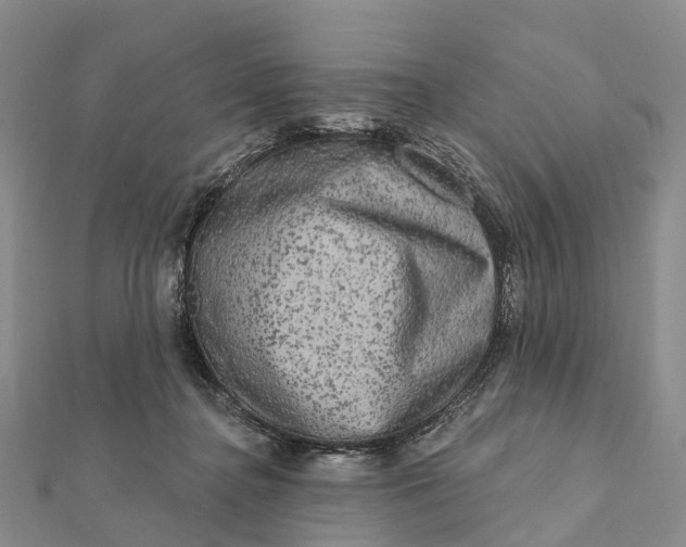 X0000112100364200908251154