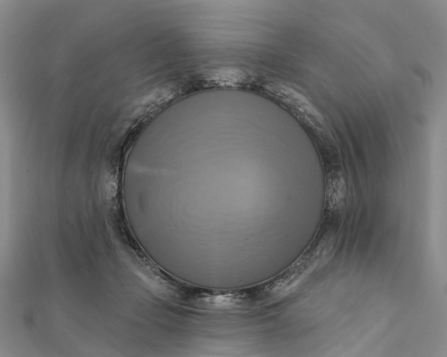 X0000112100365200908251154