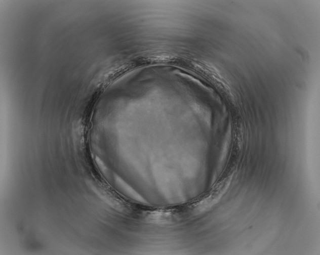 X0000112100366200908251154