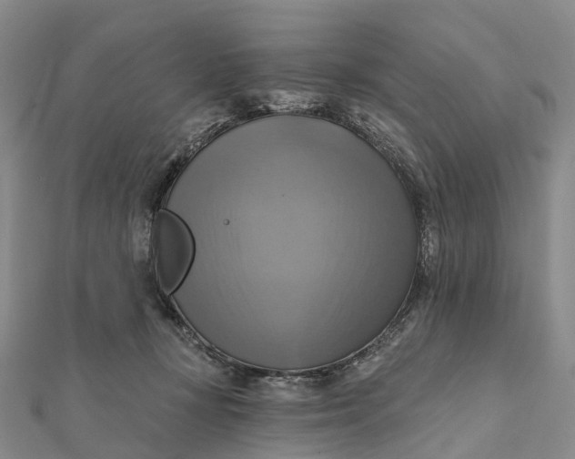 X0000112100367200908251155