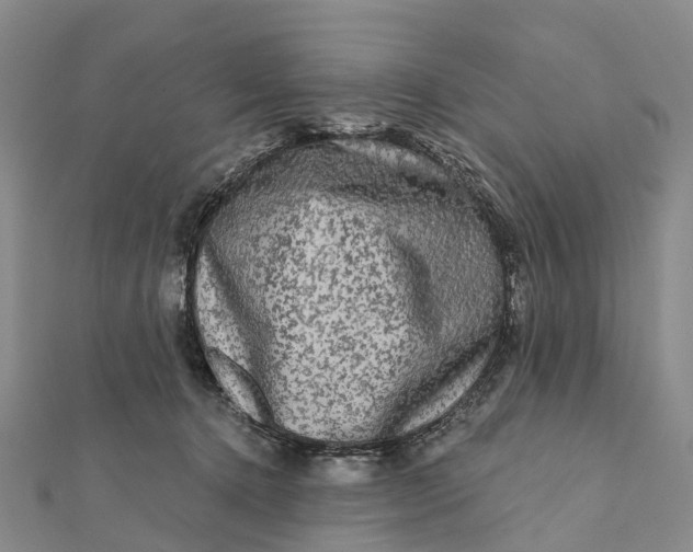 X0000112100368200908251155