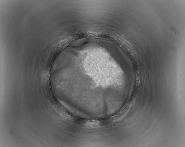 X0000112100369200908251155