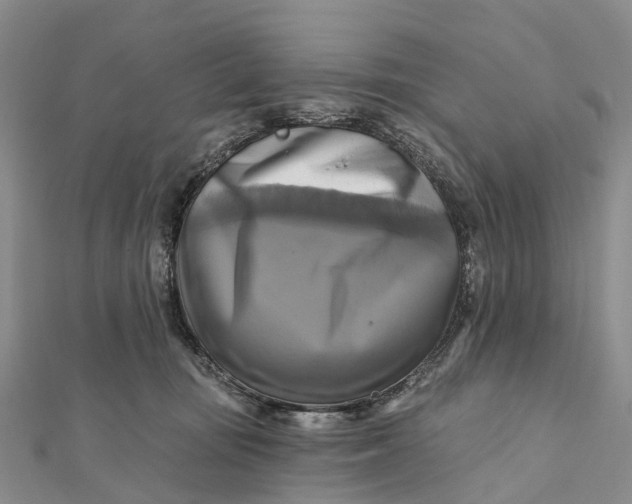 X0000112100371200908251155