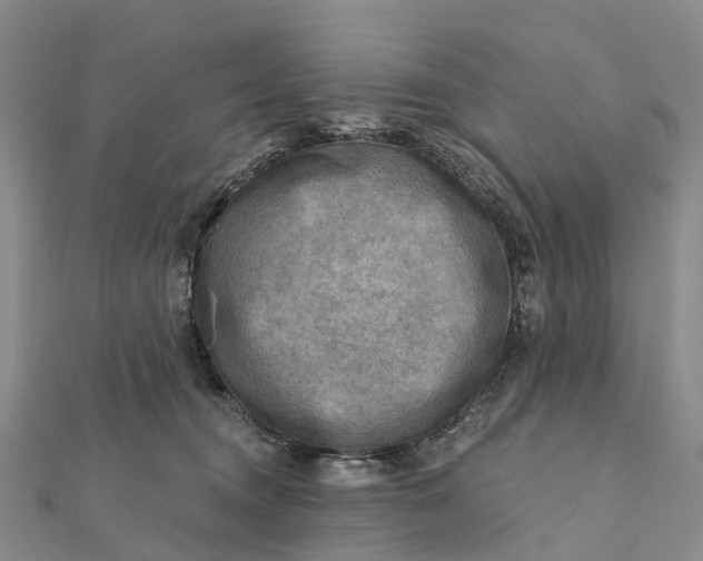 X0000112100372200908251155